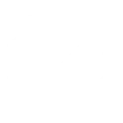 Icon park outline success